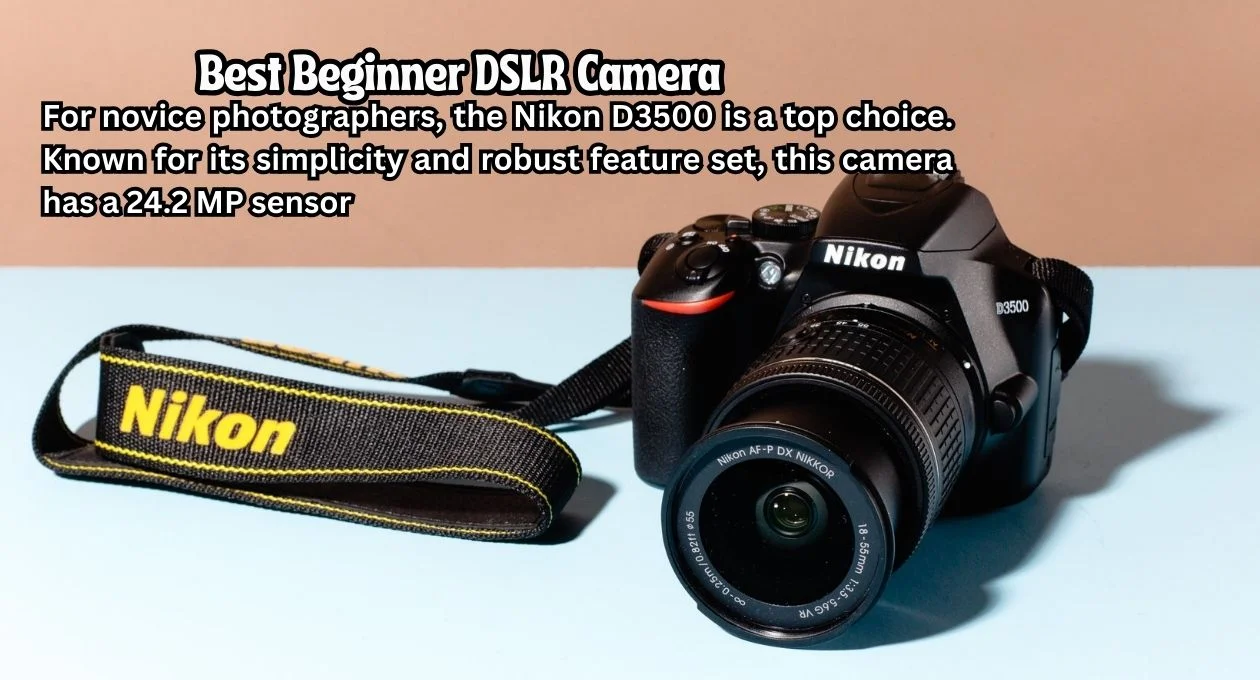 best beginner dslr camera