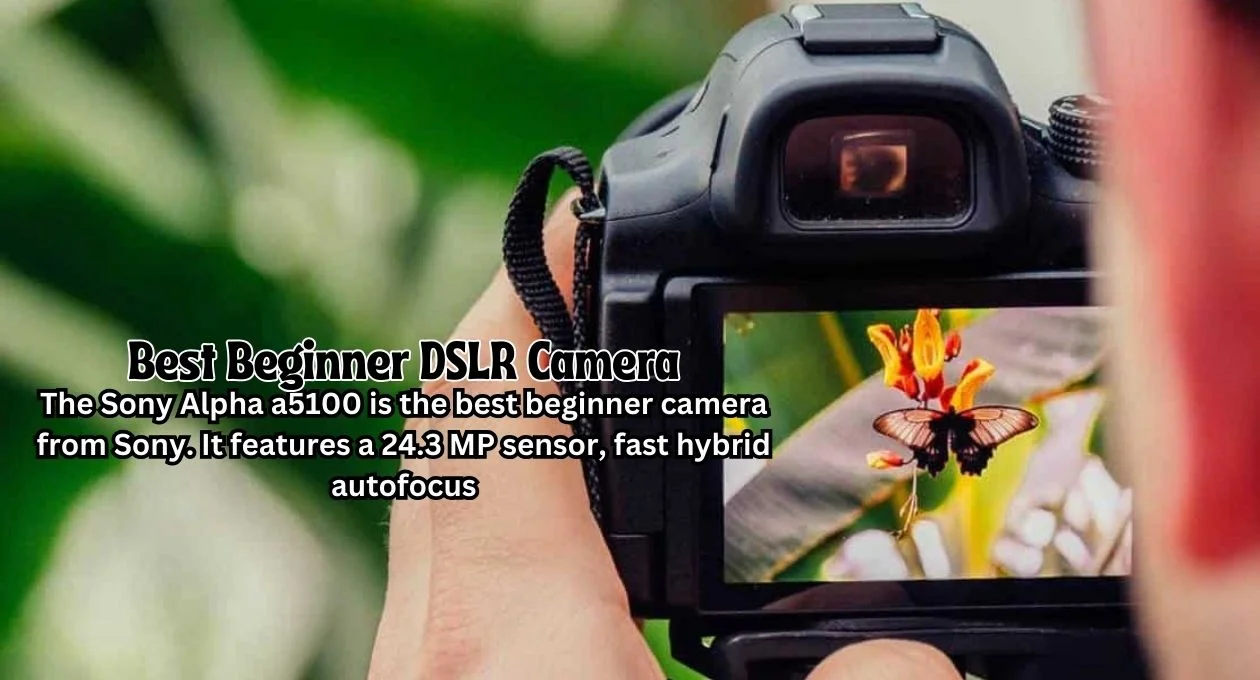 best beginner dslr camera