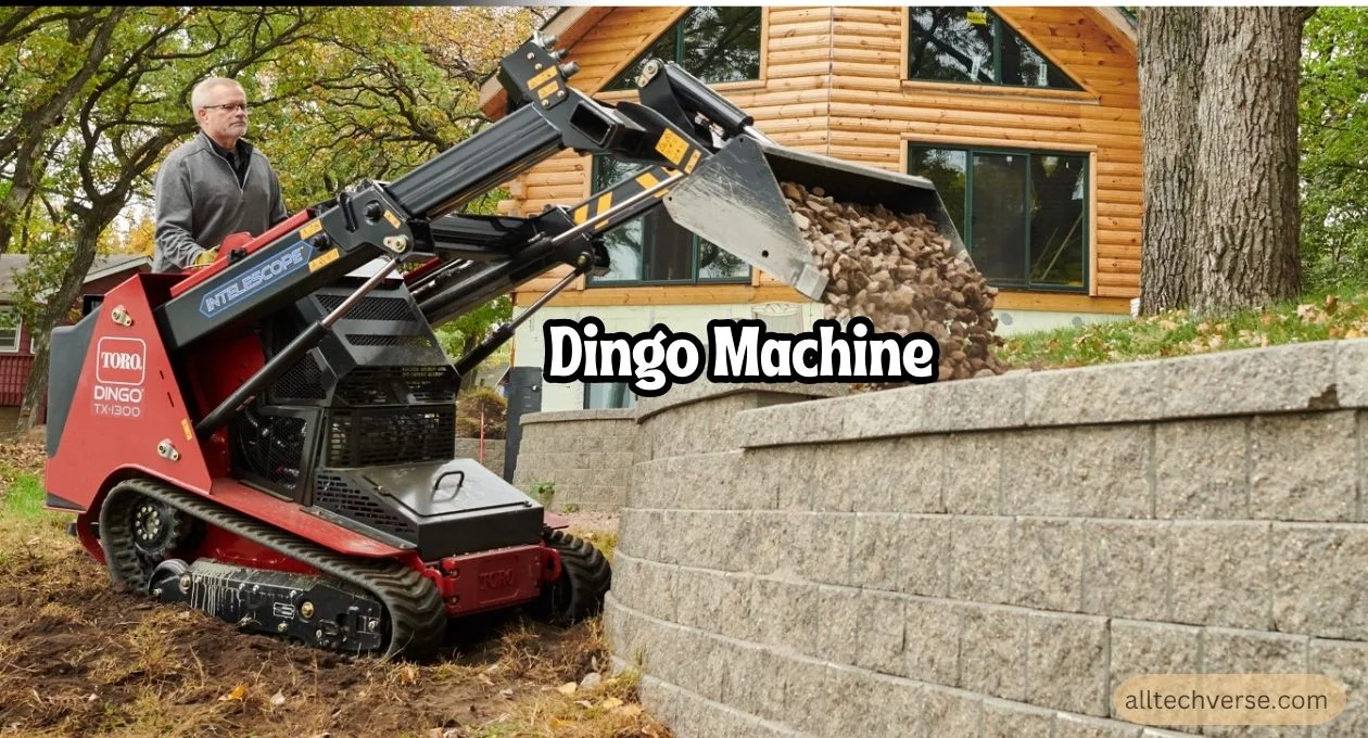 dingo machine