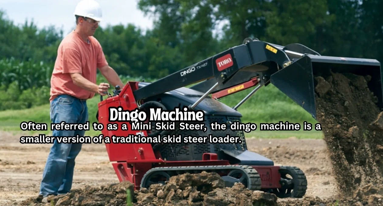 dingo machine