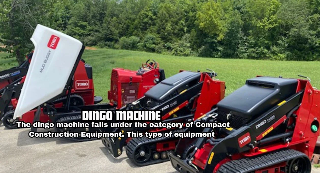 dingo machine