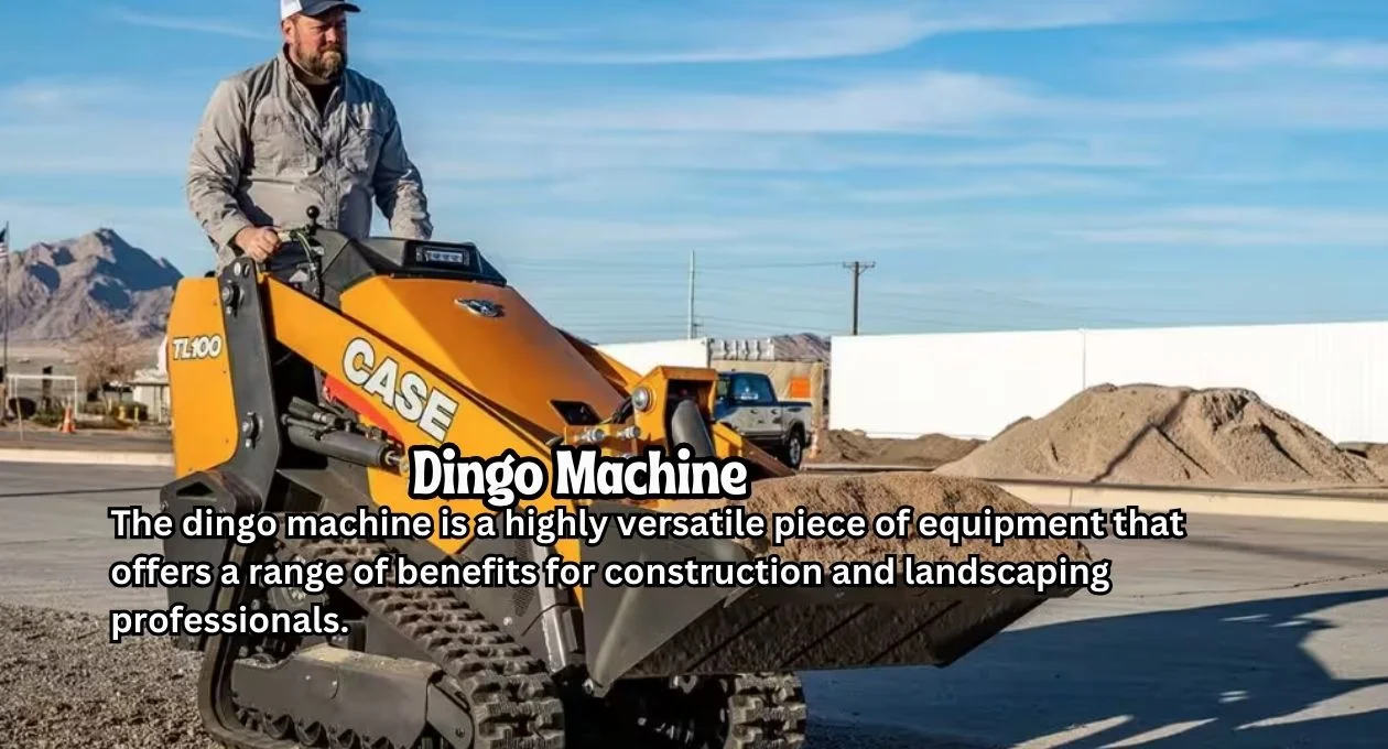 dingo machine