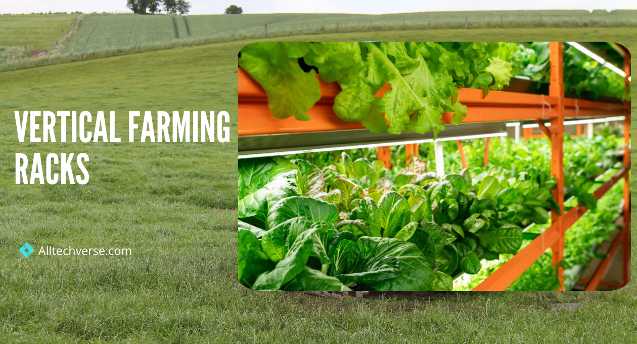 vertical farming racks